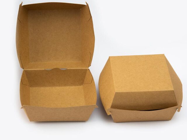 Single Burger Box (pack of 100 pcs)